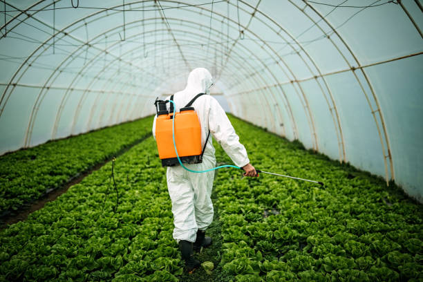 Best Pest Control Near Me  in Archer, FL
