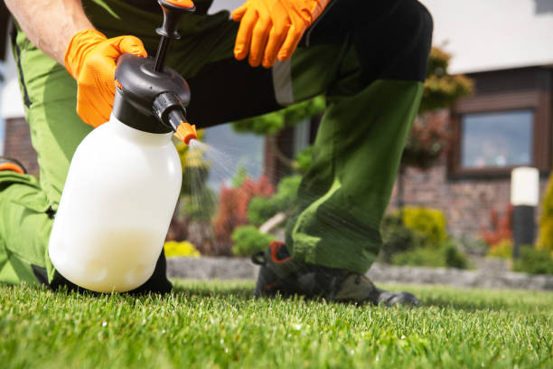 Best Exterminator Services  in Archer, FL