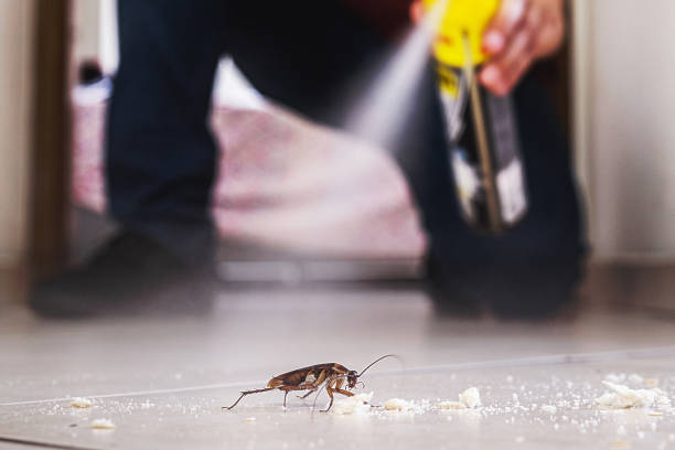 Best Commercial Pest Control Services  in Archer, FL