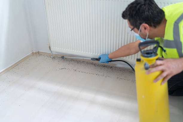 Best Local Pest Control Services  in Archer, FL